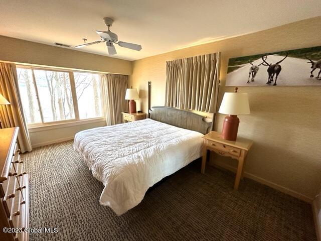 110 Sagamore Road, Unit 1A3 Bolton, NY 12814 - Photo 13 of 24 IMG_9001
