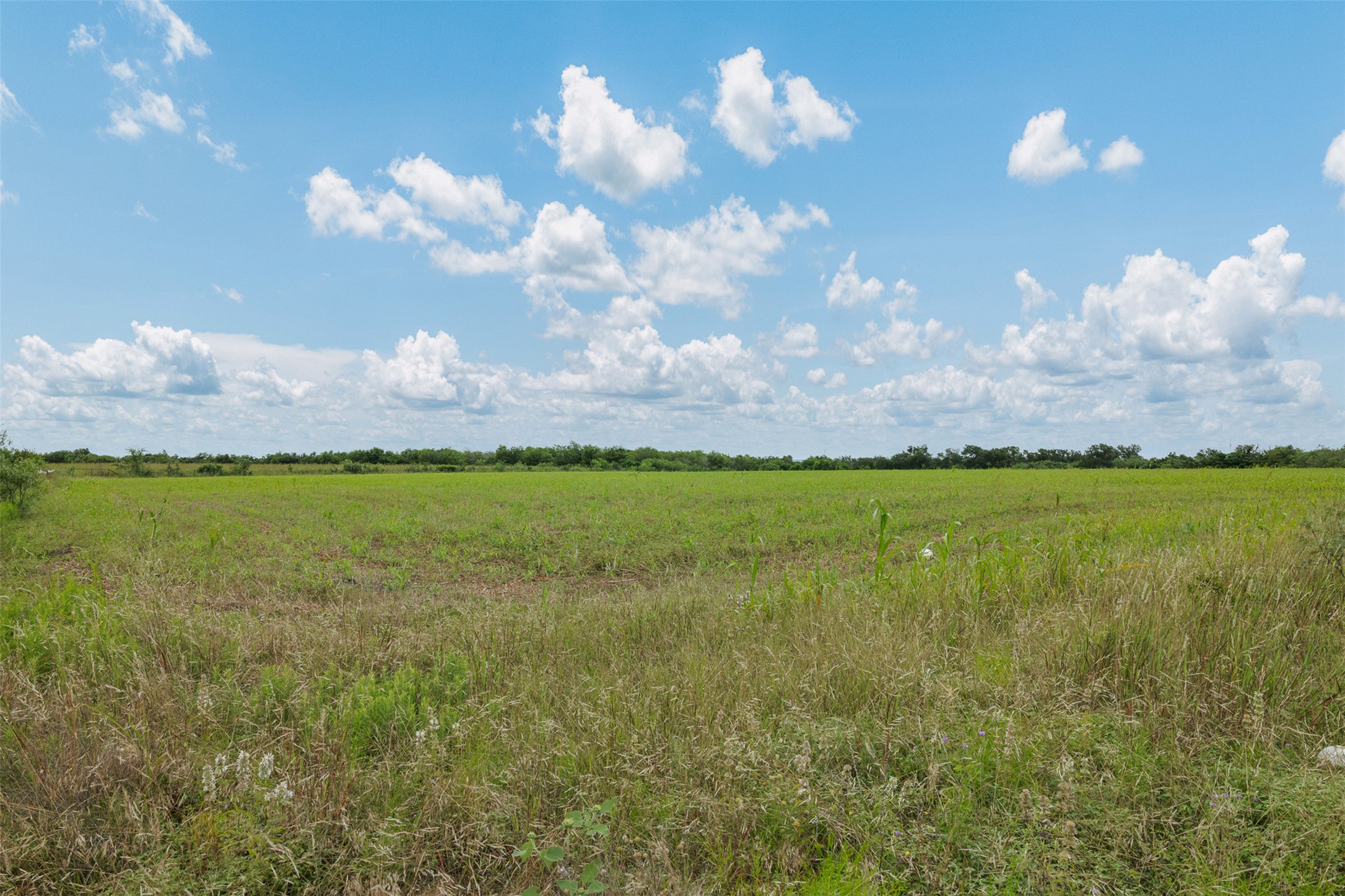 21814 Hogeye Road Manor, TX 78653 - Photo 5 of 37