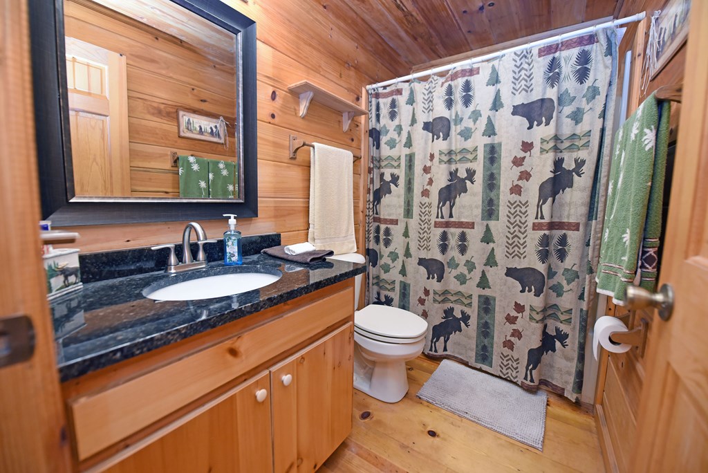 31 Eagle Feather Drive Blue Ridge, GA 30513 - Photo 14 of 34