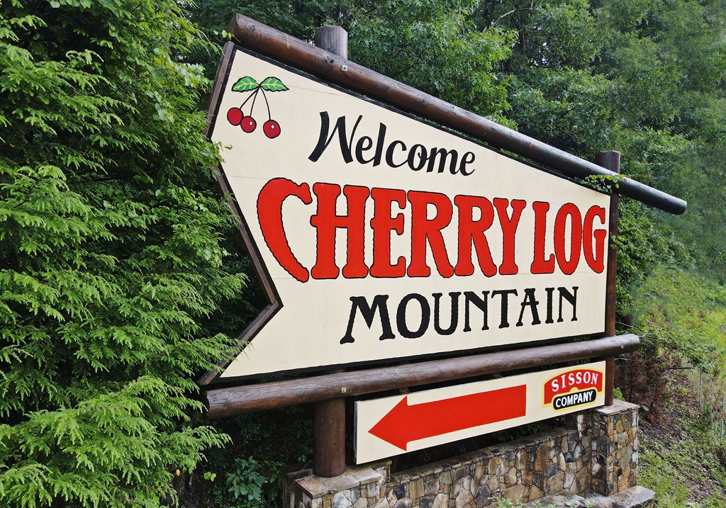 31 Eagle Feather Drive Blue Ridge, GA 30513 - Photo 30 of 34