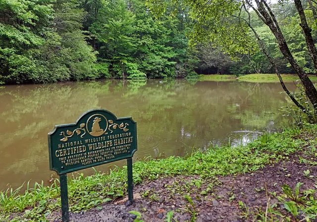 $389,900 | 31 Eagle Feather Drive, Blue Ridge, GA 30513