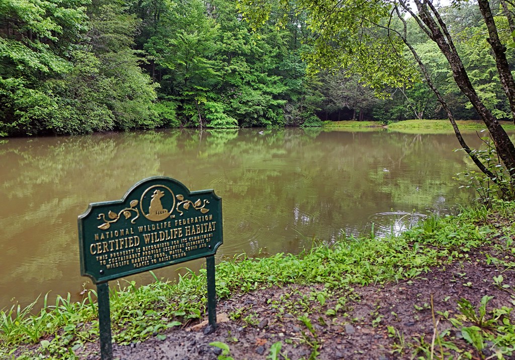 31 Eagle Feather Drive Blue Ridge, GA 30513 - Photo 33 of 34