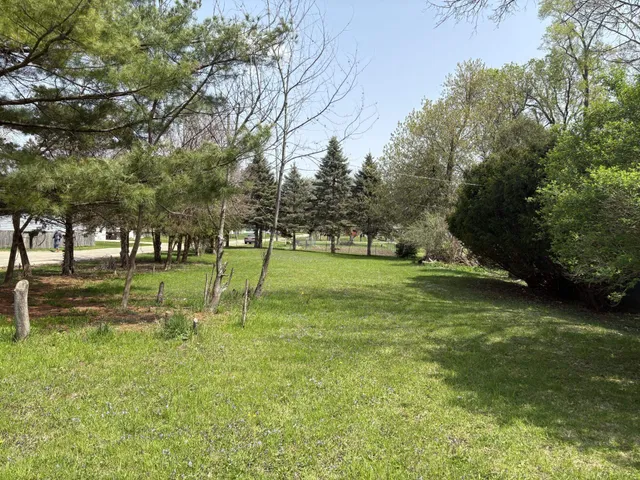 a view of a park with large trees