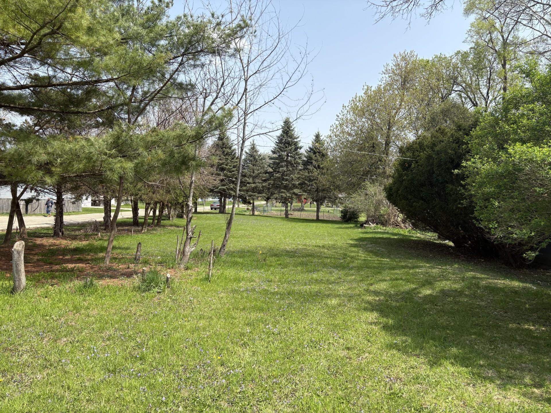 a view of a park with large trees