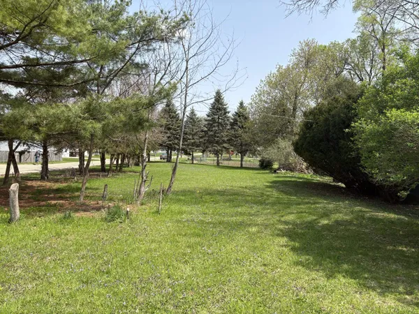 a view of a park with large trees