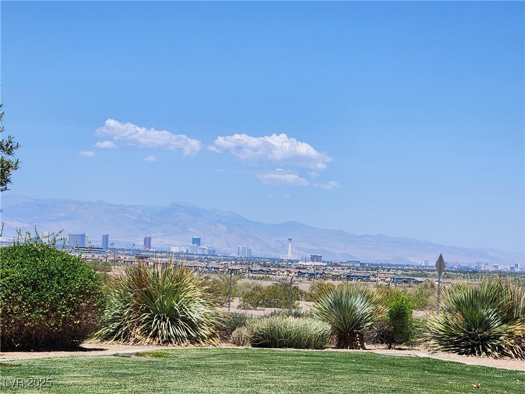 987 Wembly Hills Place Henderson, NV 89011 - Photo 37 of 44