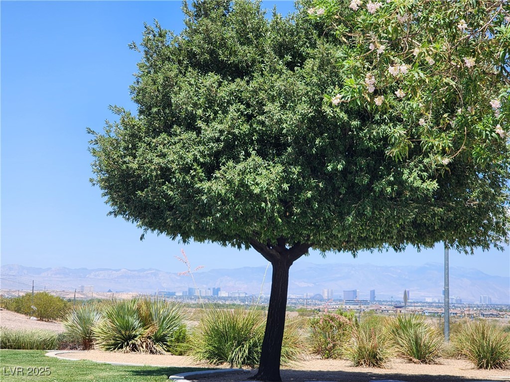 987 Wembly Hills Place Henderson, NV 89011 - Photo 38 of 44