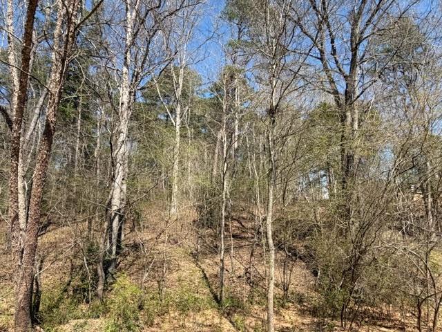 Lot 0 Jack Pittman Road Monroe, GA 30656 - Photo 2 of 5
