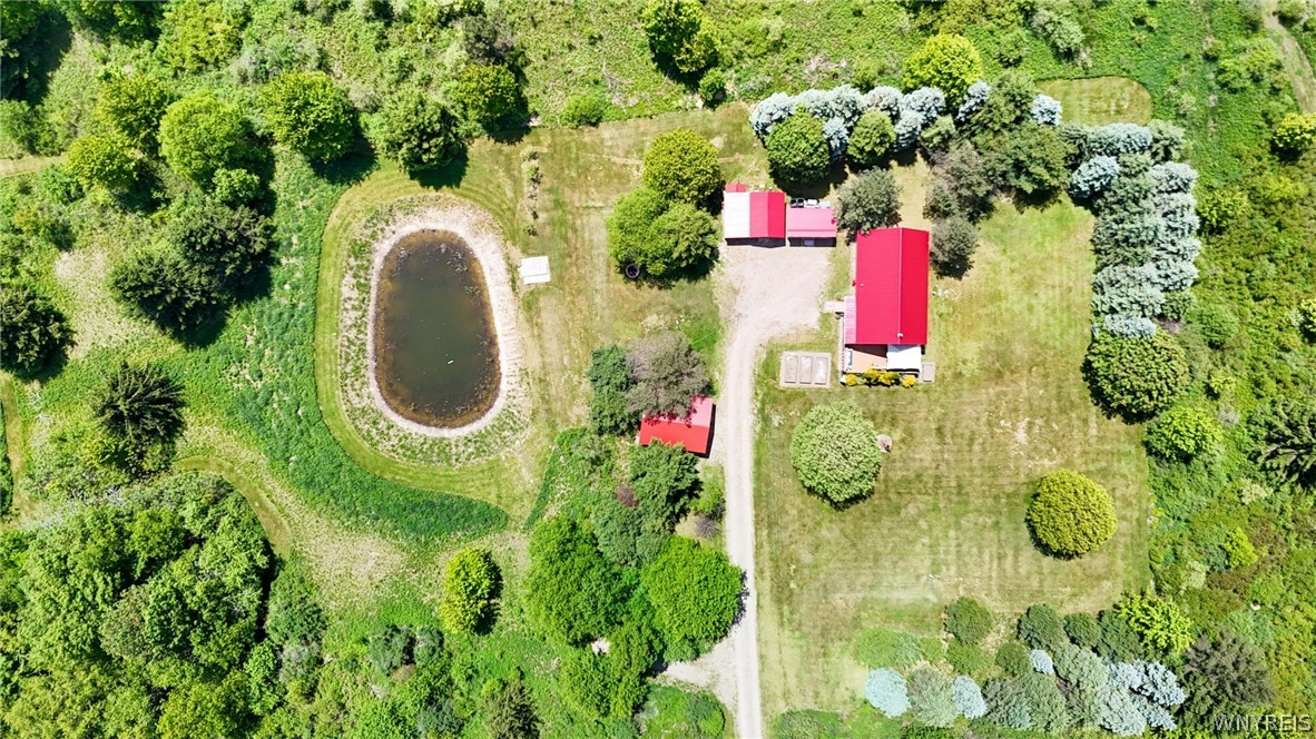517 West Branch Road Farmersville, NY 14737 - Photo 5 of 49