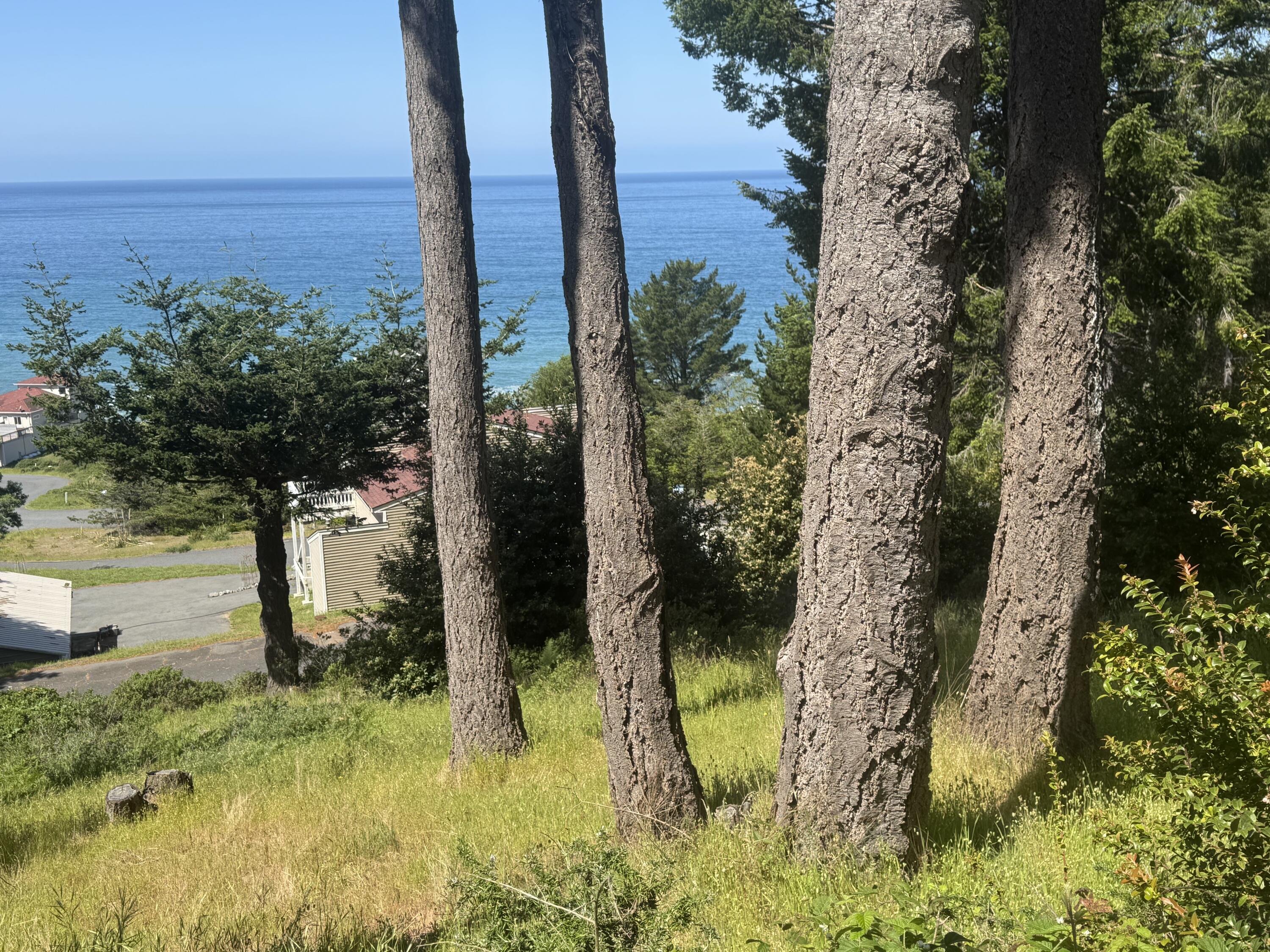 110 Albatross Road Shelter Cove, CA 95589 - Photo 4 of 7
