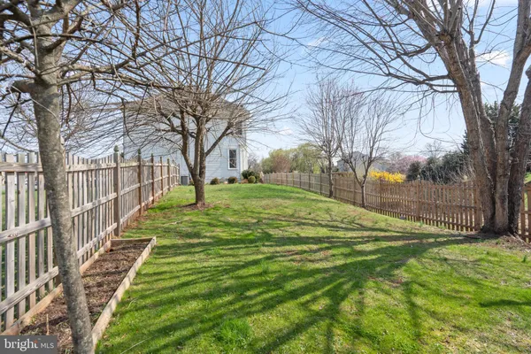 a view of a yard with plants and trees