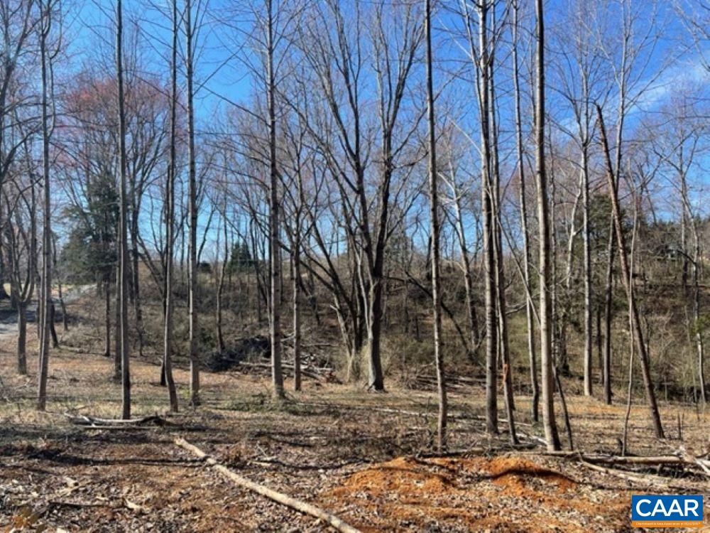 Tbd1 Plank Road Afton, VA 22920 - Photo 8 of 11 a backyard of a house with lots of green space