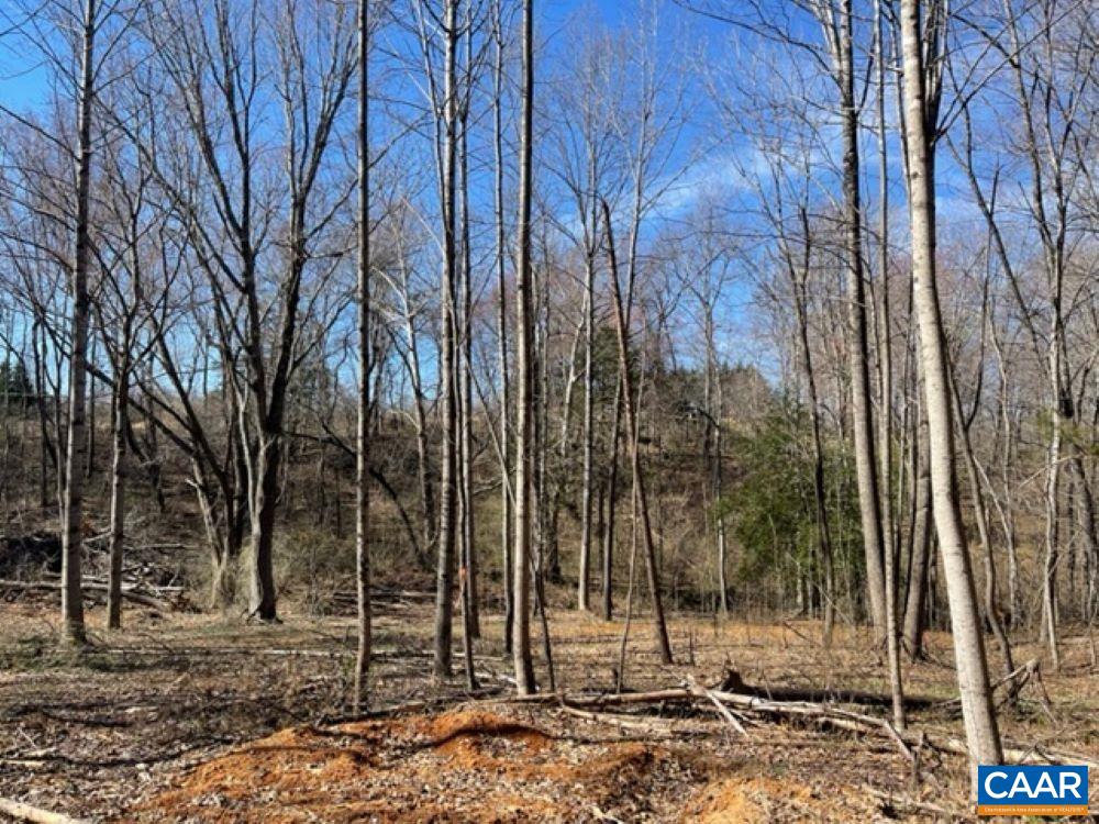 Tbd1 Plank Road Afton, VA 22920 - Photo 9 of 11 a view of a backyard with large trees