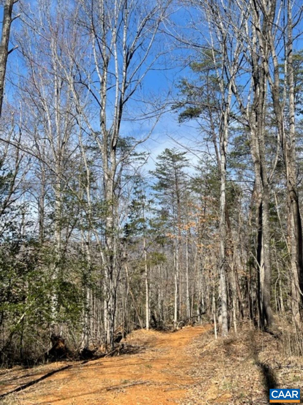 Tbd1 Plank Road Afton, VA 22920 - Photo 10 of 11