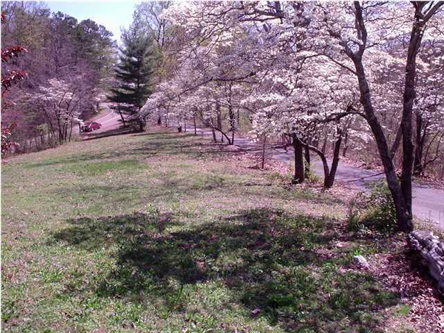 8766 Igou Gap Road Chattanooga, TN 37421 - Photo 3 of 4 Additional Photo