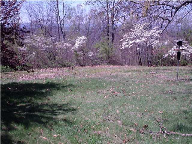 8766 Igou Gap Road Chattanooga, TN 37421 - Photo 4 of 4 Additional Photo