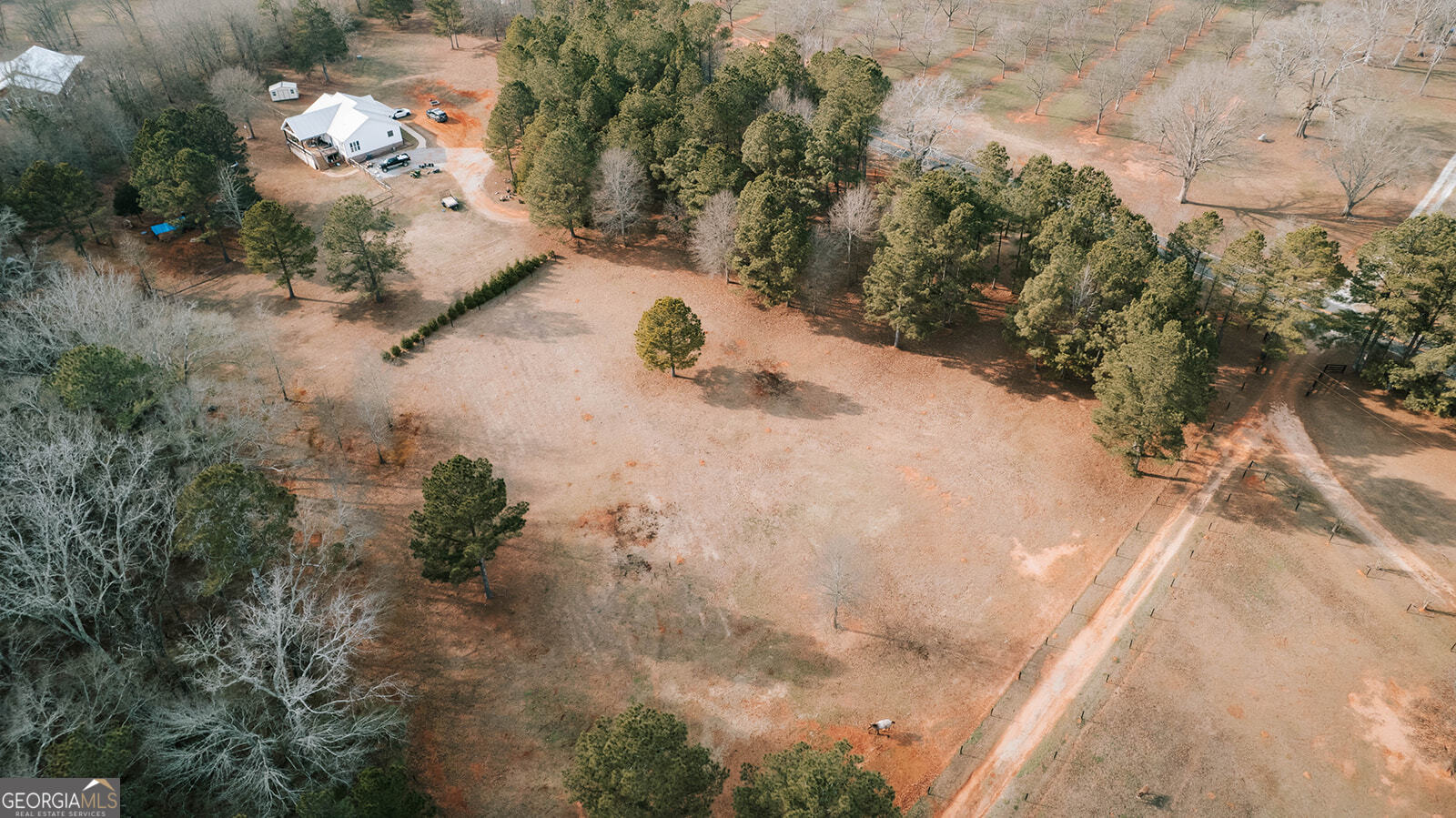 2820 Davis Academy Road Rutledge, GA 30663 - Photo 47 of 65 a view of a yard with trees