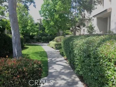 a view of a garden with pathway