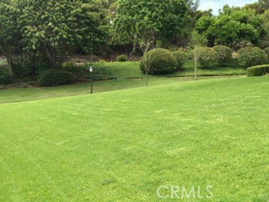 9 Evening Breeze Irvine, CA 92603 - Photo 15 of 30 a backyard of a house with lots of green space