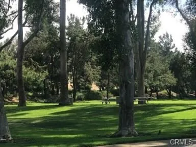 a garden view with a fountain