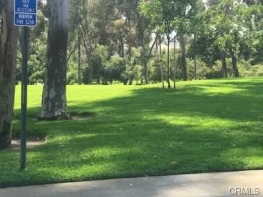 a view of a park with large trees