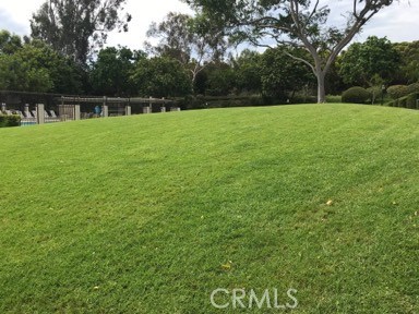 9 Evening Breeze Irvine, CA 92603 - Photo 6 of 30 a view of a yard
