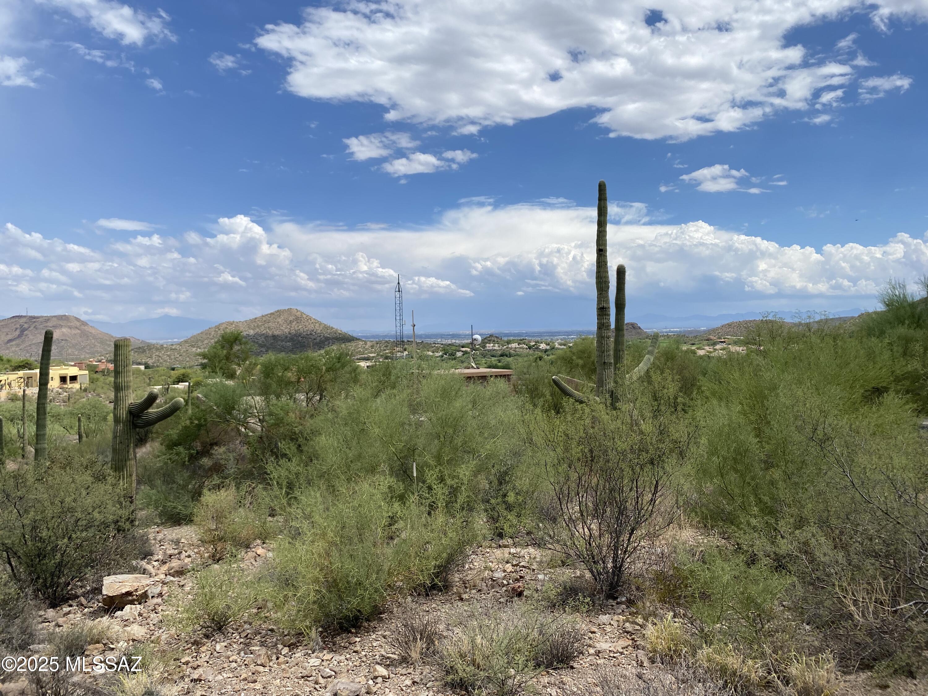 475 South Hotel Service Road Tucson, AZ 85745 - Photo 21 of 49 IMG_9904