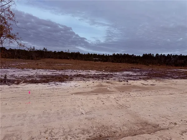 $35,000 | Lot 9 Wiregrass Lane, Unit 9, Waycross, GA 31503