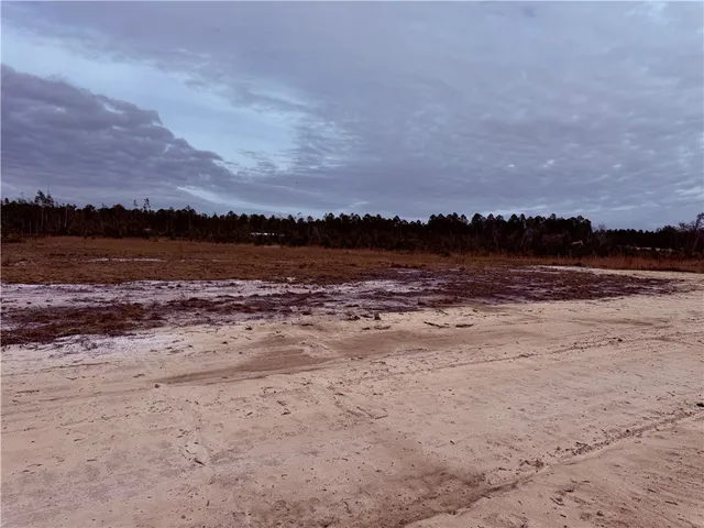 $35,000 | Lot 9 Wiregrass Lane, Unit 9, Waycross, GA 31503