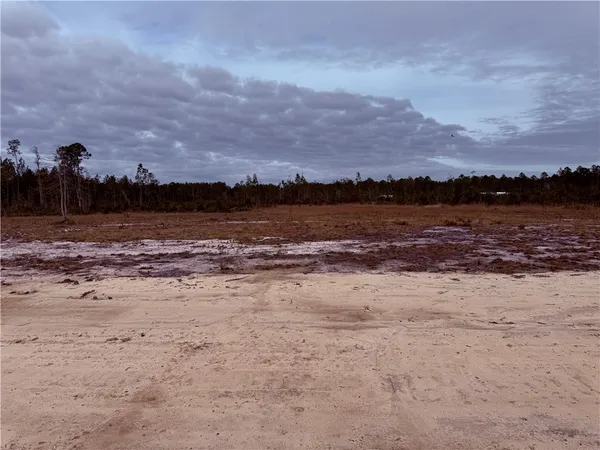 $35,000 | Lot 9 Wiregrass Lane, Unit 9, Waycross, GA 31503