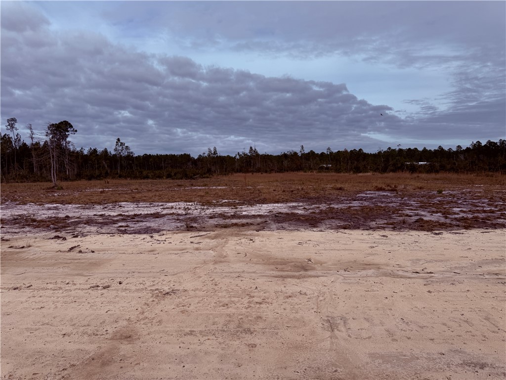 Lot 9 Wiregrass Lane, Unit 9 Waycross, GA 31503 - Photo 3 of 6