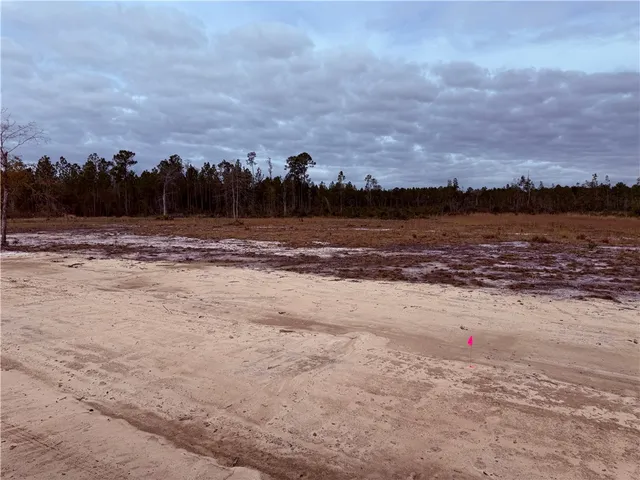 $35,000 | Lot 9 Wiregrass Lane, Unit 9, Waycross, GA 31503