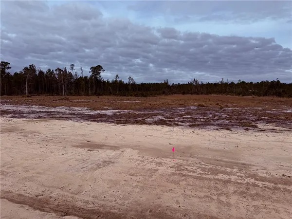 $35,000 | Lot 9 Wiregrass Lane, Unit 9, Waycross, GA 31503