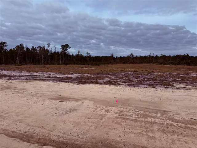 $35,000 | Lot 9 Wiregrass Lane, Unit 9, Waycross, GA 31503