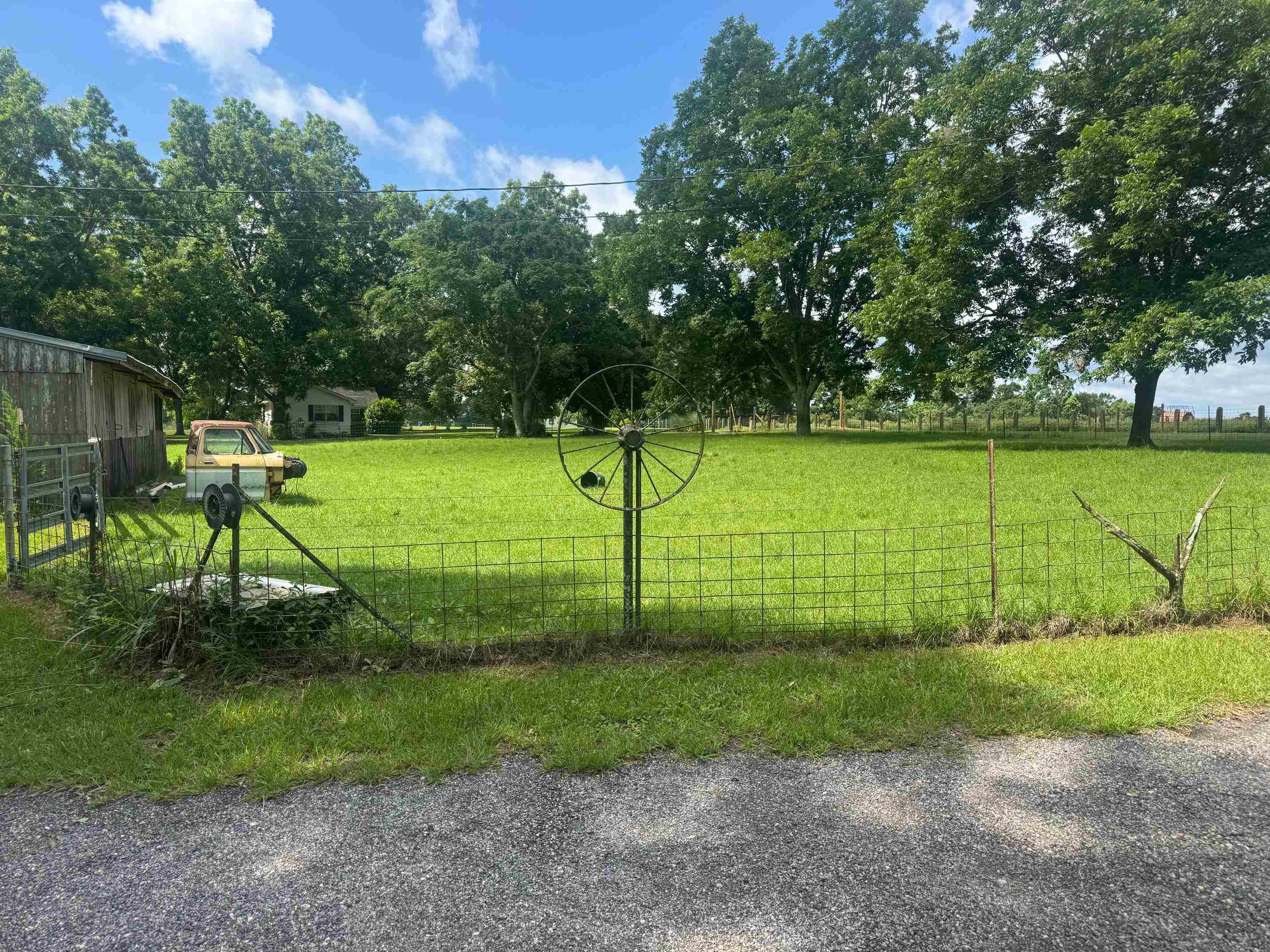 19238 Tt Clark Road Opp, AL 36467 - Photo 2 of 49 Gallery Image 2