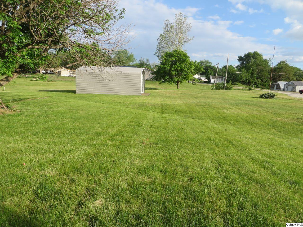 502 North Chestnut Street Versailles, IL 62378 - Photo 4 of 32 a view of a big yard with a fountain and a big yard