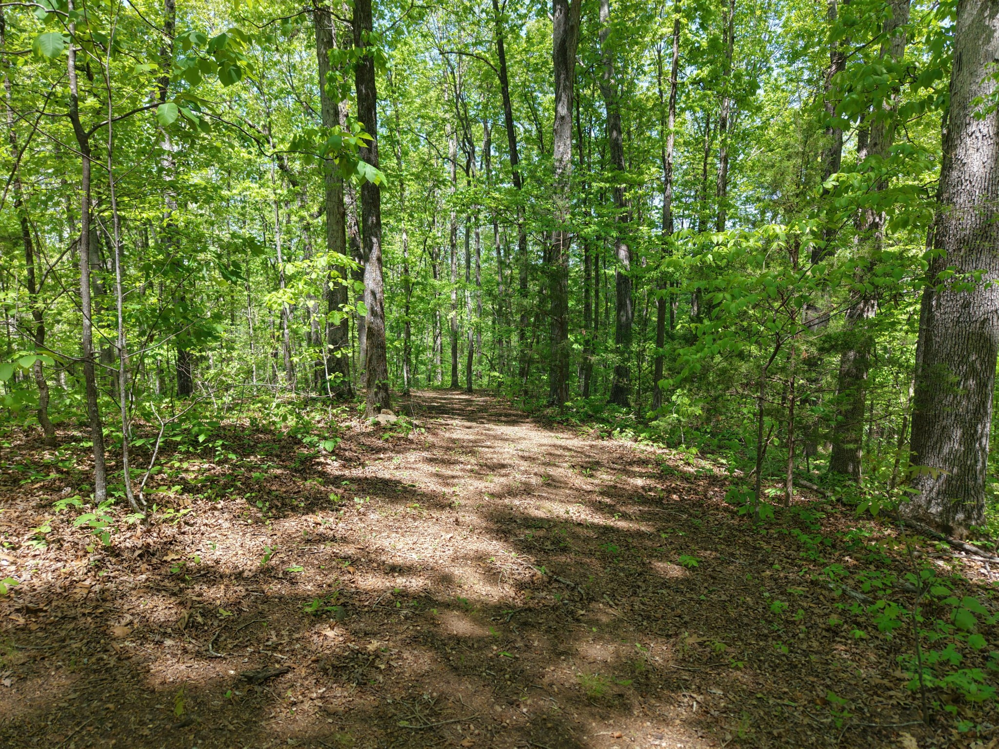 0 Sloans Gap Road Ocoee, TN 37361 - Photo 9 of 12