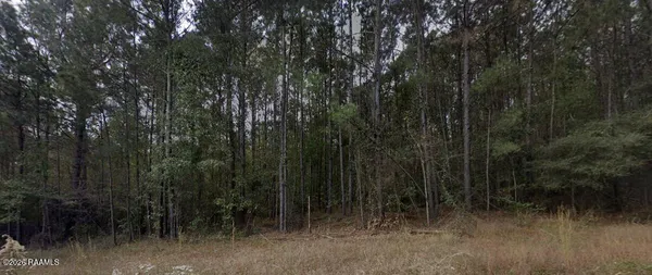 $45,000 | 1 Soileau Drive, Many, LA 71449