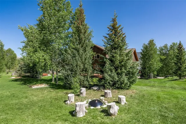 a view of a lush green space