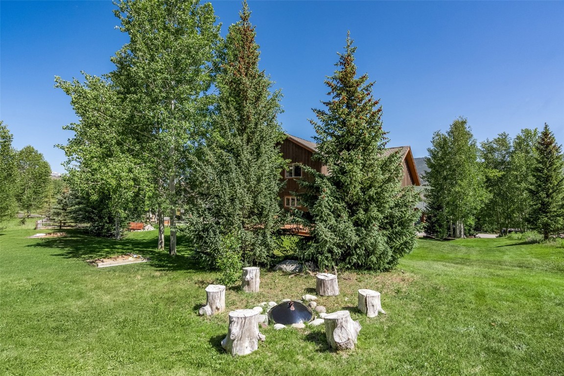 12 Raindance Trail Dillon, CO 80435 - Photo 18 of 47 a view of a lush green space