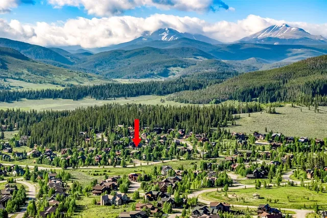 a view of a bunch of flowers and trees