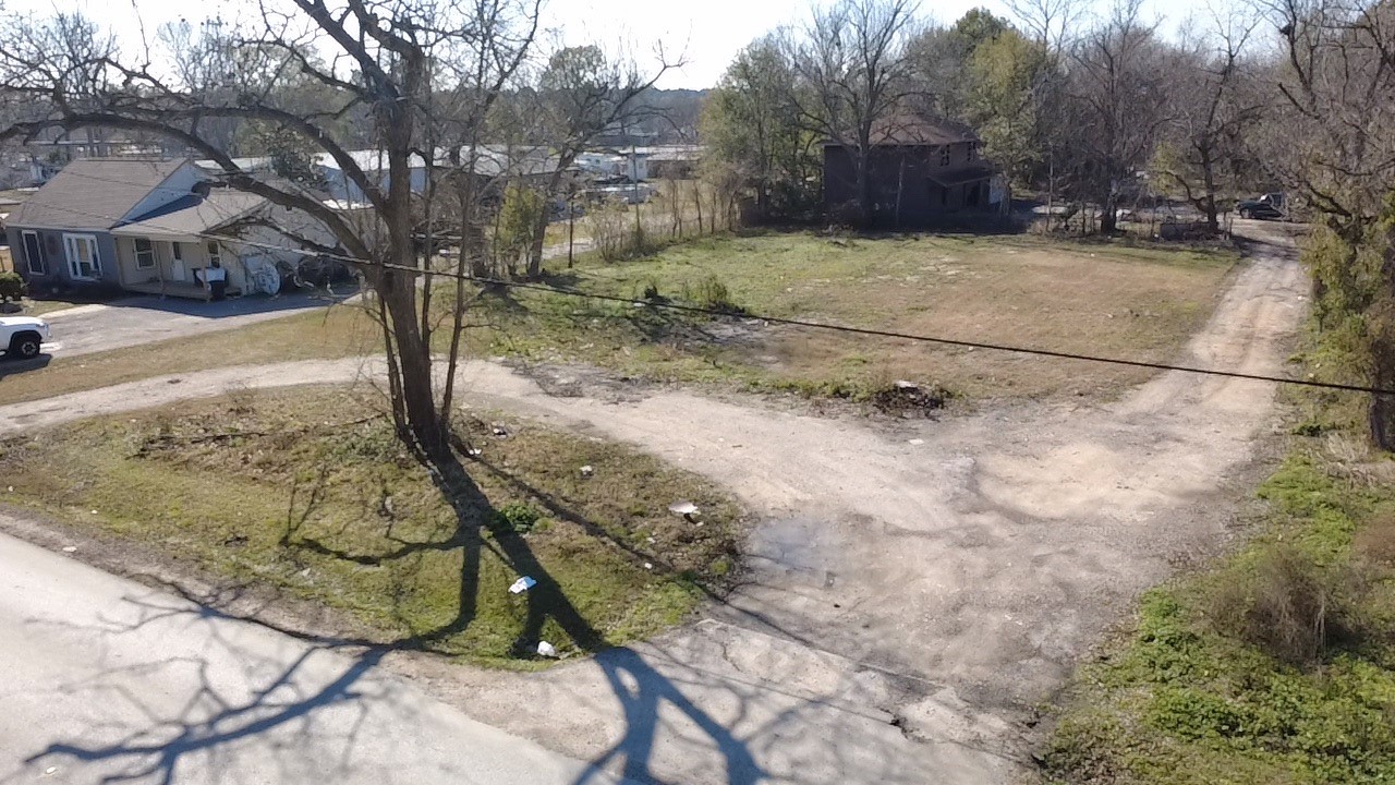 a view of a yard with a tree