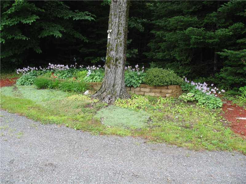 469 North Dexter Road Sangerville, ME 04479 - Photo 28 of 31 Yard/Garden. Landscaping detail