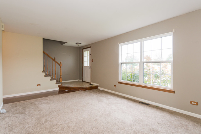 4509 Mallard Lane Plainfield, IL 60586 - Photo 12 of 26