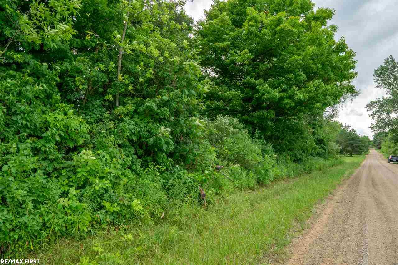 0 Soper Road Marlette, MI 48453 - Photo 6 of 7