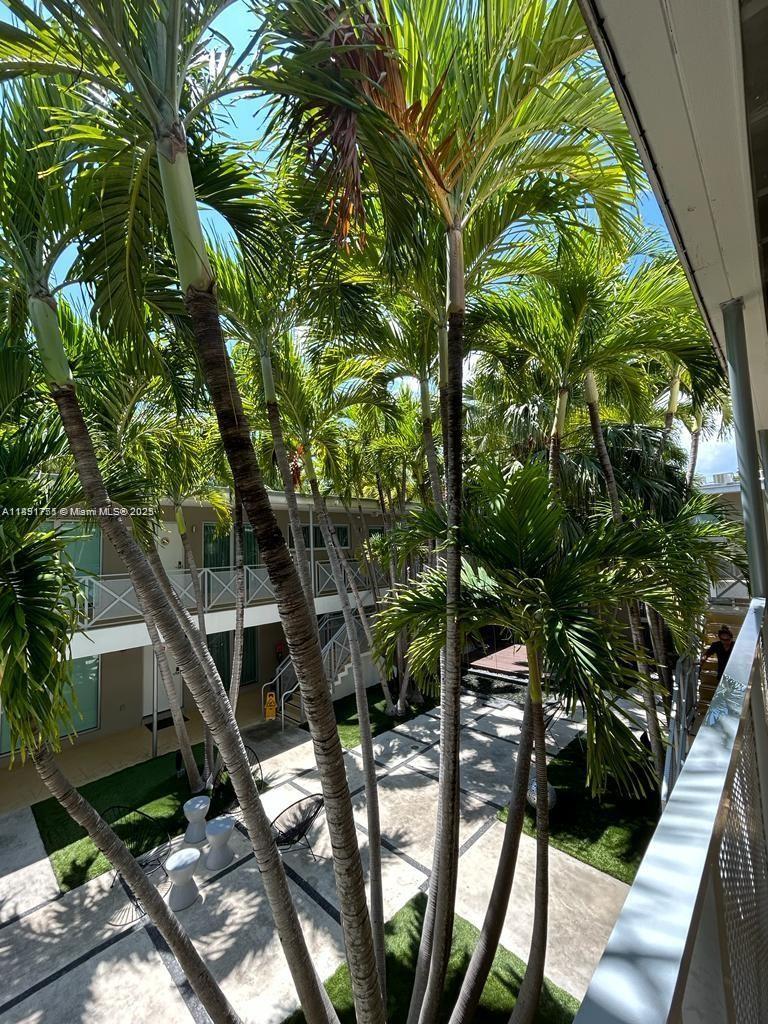 1816 Meridian Avenue, Unit 18 Miami Beach, FL 33139 - Photo 18 of 19 a picture of tree