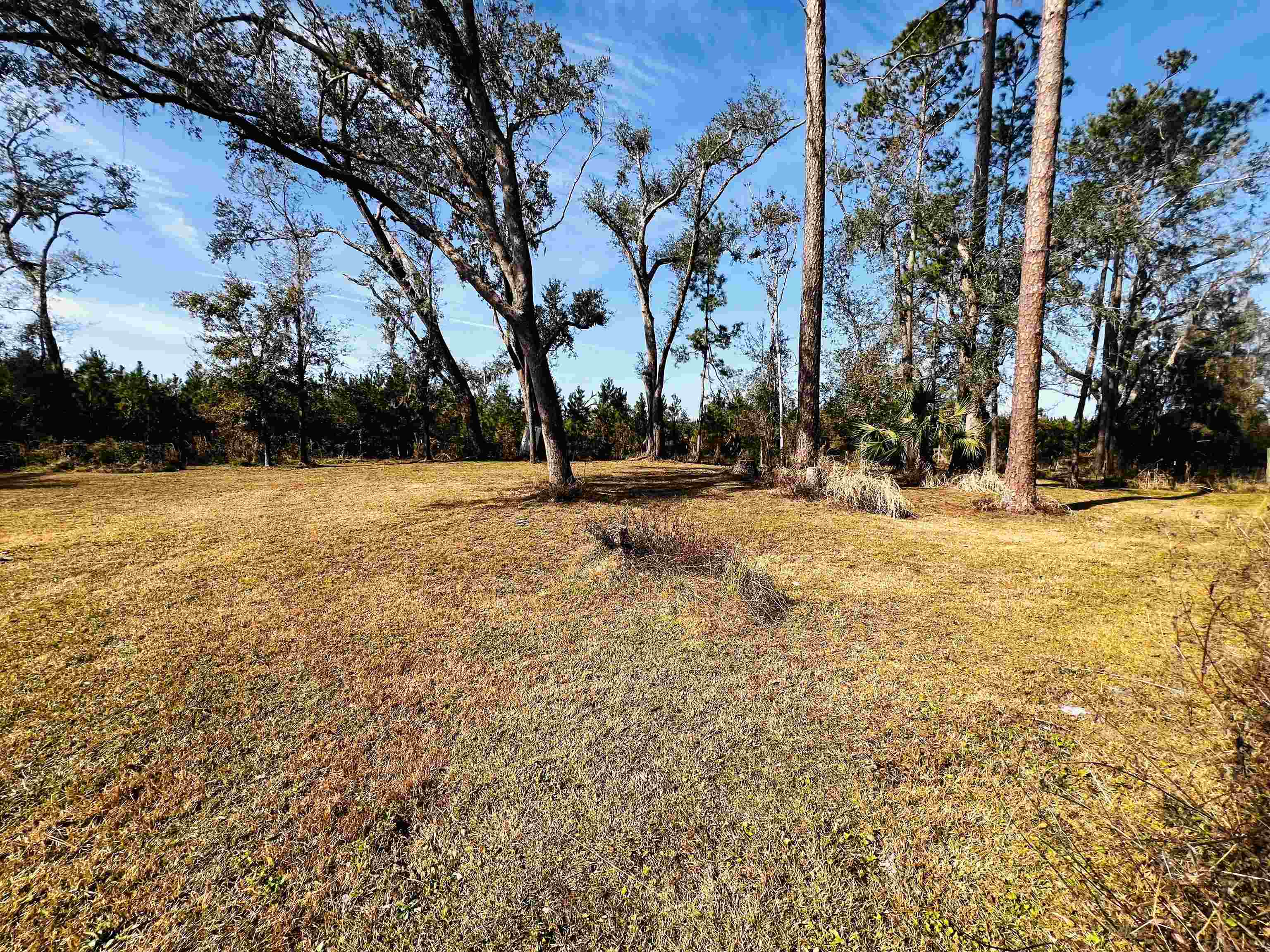 1991 Cairo Parker Road Perry, FL 32347 - Photo 14 of 18 Gallery Image 14
