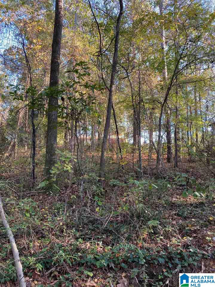 3333 Polly Circle, Unit 3 McCalla, AL 35111 - Photo 1 of 1