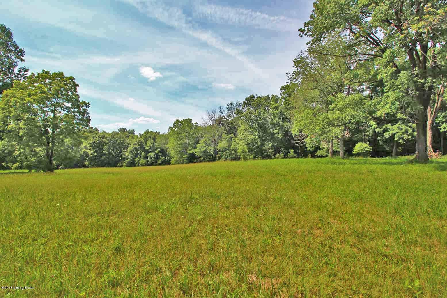 2550 Buzzard Roost Road Waddy, KY 40076 - Photo 5 of 10 Secluded Building sites