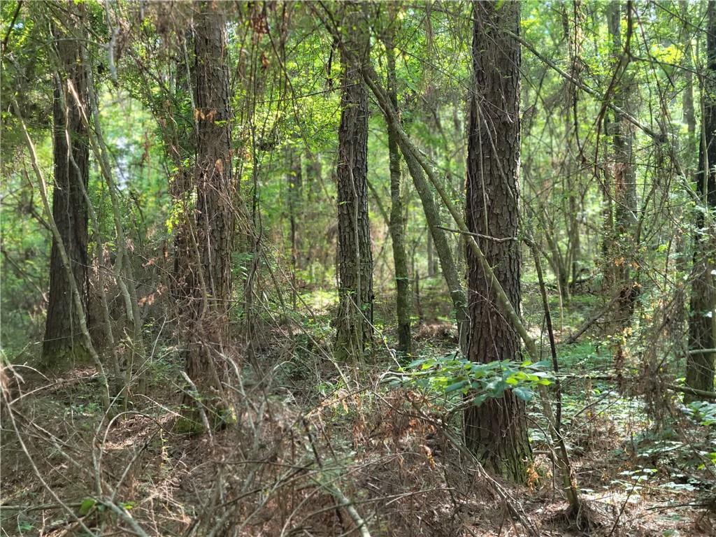 0 Spring Road Kentwood, LA 70444 - Photo 11 of 22 Gallery Image 11